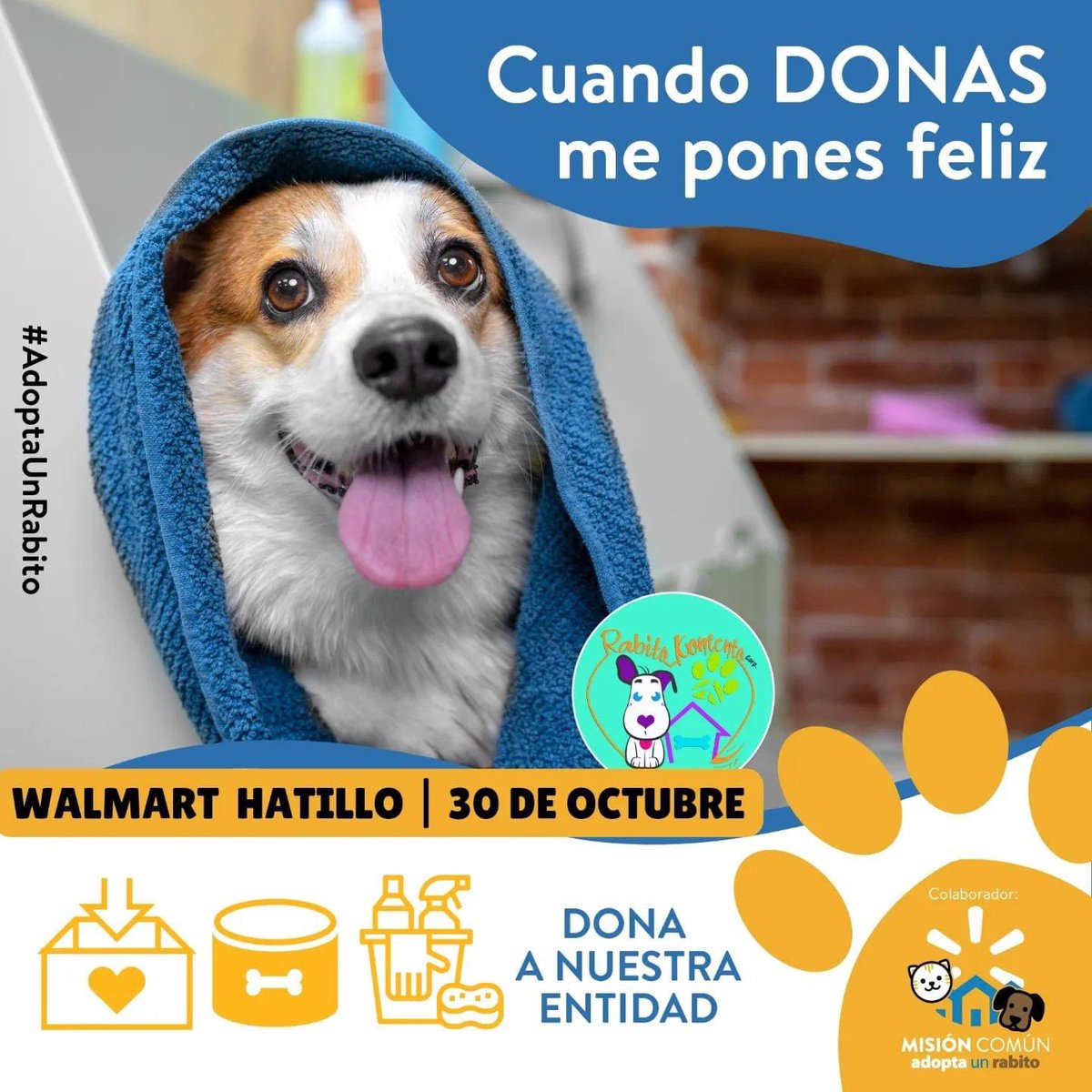 rabitokontento's tweet photo. Somos parte de la iniciativa de Walmart! El próximo 30 de octubre puedes entregar tu donación en Walmart de 11:30am a 6:30pm

Contamos con su apoyo! 

#RabitoKontento #AdoptaUnRabito #WalmartPR https://t.co/OCBzFRZzku