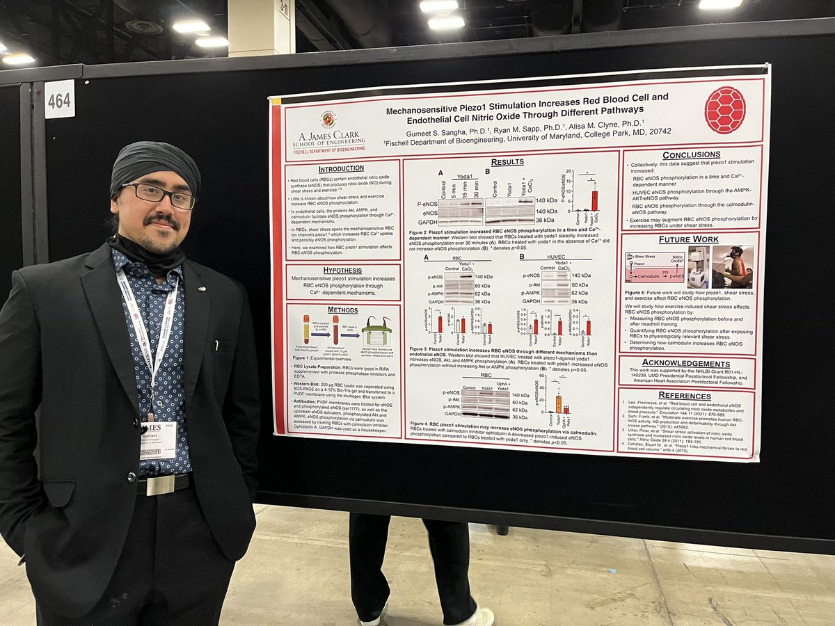 Red blood cells! Exercise! CVD disparities! Gurneet Sangha has it all at poster 474 #BMES2022 <a href="/UMDBIOE/">UMD Bioengineering</a>