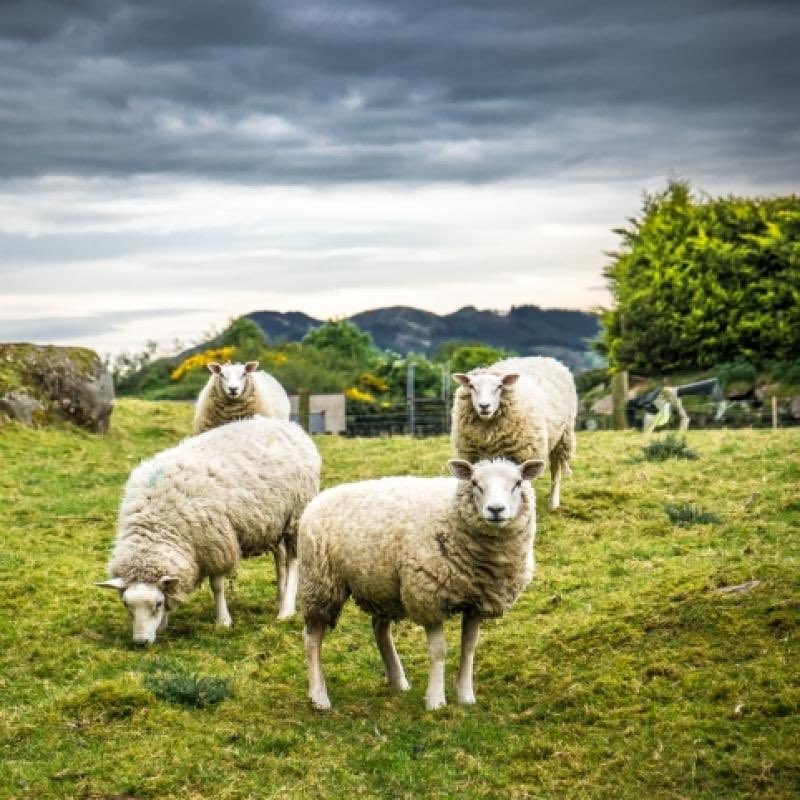 Adak (@adakvacipkurban) on Twitter photo 