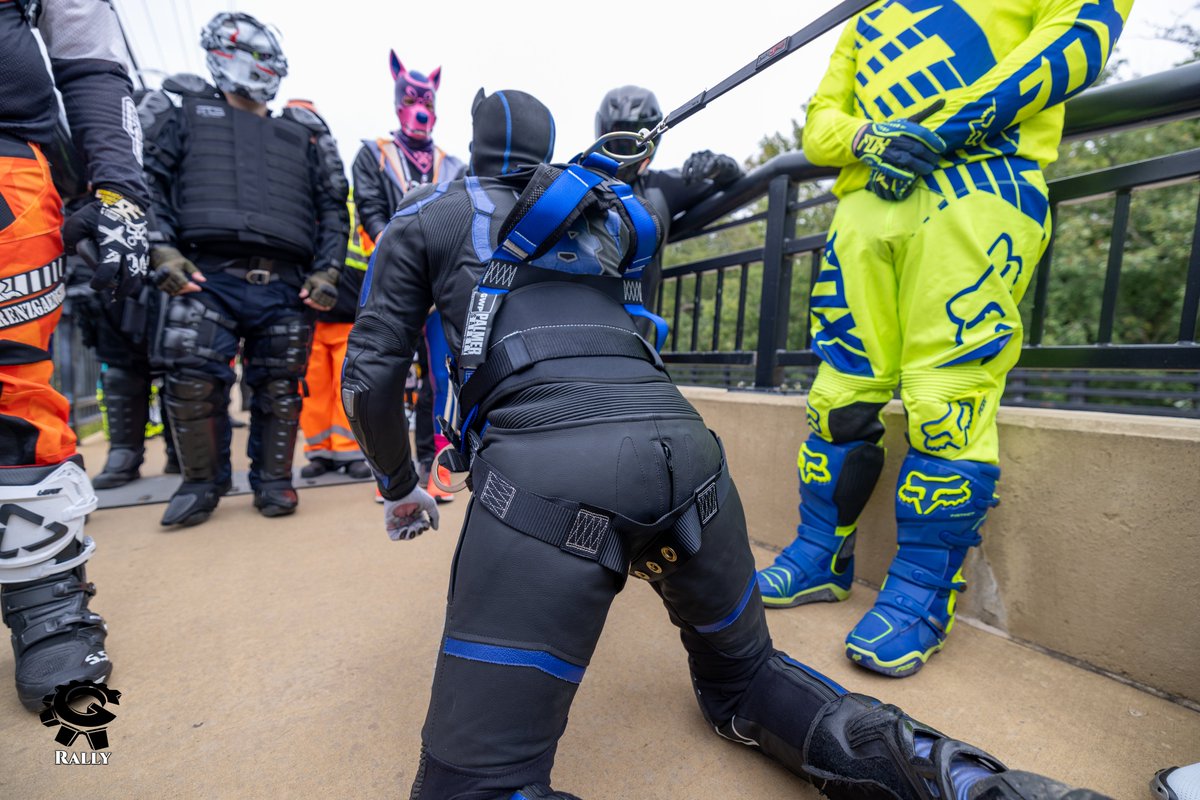 Pup Rally on Twitter: 