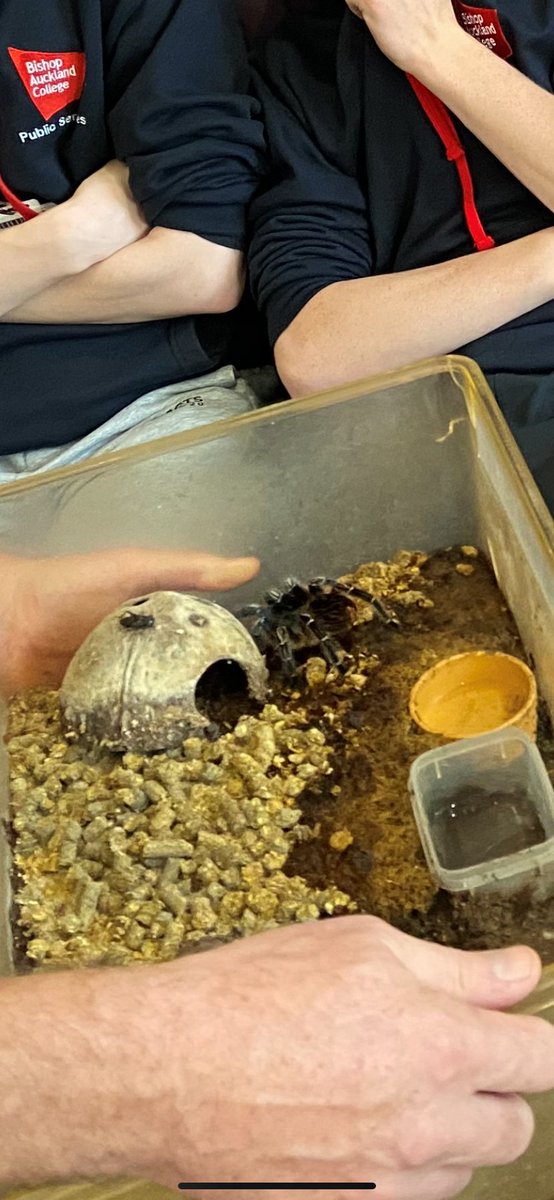 NCS Students at <a href="/bishopcollege/">Bishop Auckland College</a> had the pleasure of <a href="/DiscoveryZoo/">Discovery Zoo</a> visiting today in the run up to their programme!

Few of them overcoming some fears, and a few getting their step-count up running away 😄

#NoWeCan #NCS #ThisIsHowWeDoIt <a href="/Catch22/">Catch22</a>