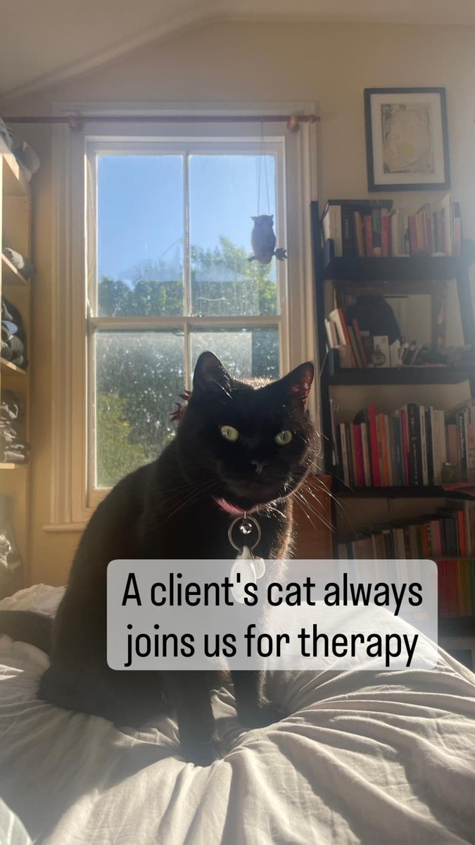 TopCounselling's tweet photo. Booking a counselling session is easy.
Online session is easy from home, even the pet cat joins in. #Counselling #MentalHealthAwareness #therapy #catlovers #intherapy #counsellor https://t.co/7VjGGgg1nE
