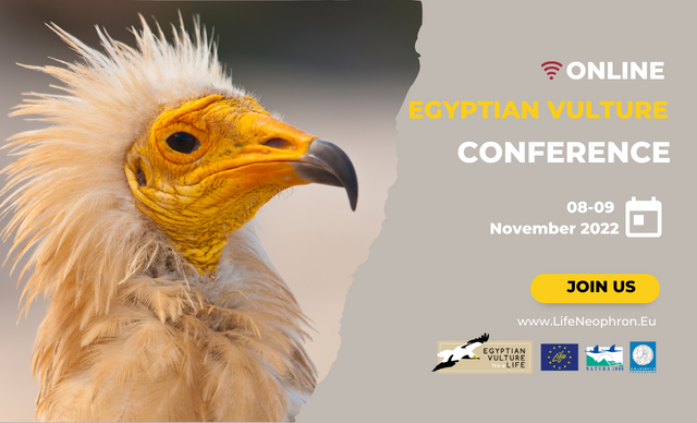 Registration to attend the free Egyptian Vulture Online Conference 2022 is now live. 

📆Save the date on 8 and 9 November 2022 to hear over 60 talks on Egyptian Vulture conservation and more.

📲rspb.eventsair.com/vultures-2022/… 

#EVconference2022