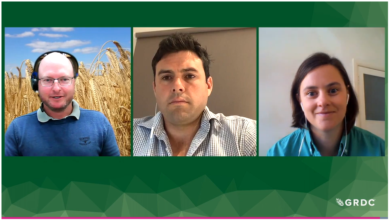 Watch our special late season Grains Research Update: From Here to Harvest, covering disease considerations, late season weed control &amp; slug control with <a href="/PBoutsalis/">Peter Boutsalis</a> <a href="/ljbullen/">Lachlan Bullen</a> <a href="/ORMPtyLtd/">ORM Pty Ltd</a> <a href="/VicGovAg/">Agriculture Victoria</a> <a href="/msmclean777/">Mark McLean</a> <a href="/ag_western/">Western AG</a> <a href="/_ClaireTucker/">Claire Tucker</a> <a href="/AuNutrien/">Nutrien Ag Solutions Australia</a> 

📺 bit.ly/3rSJ3e8