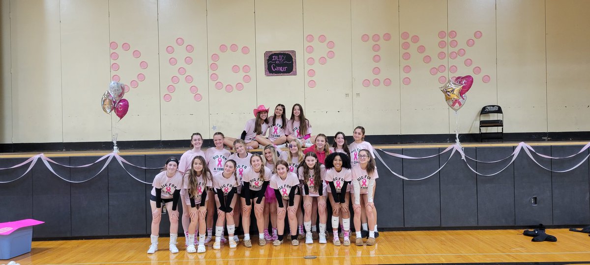 BC Volleyball - Dig Pink Night