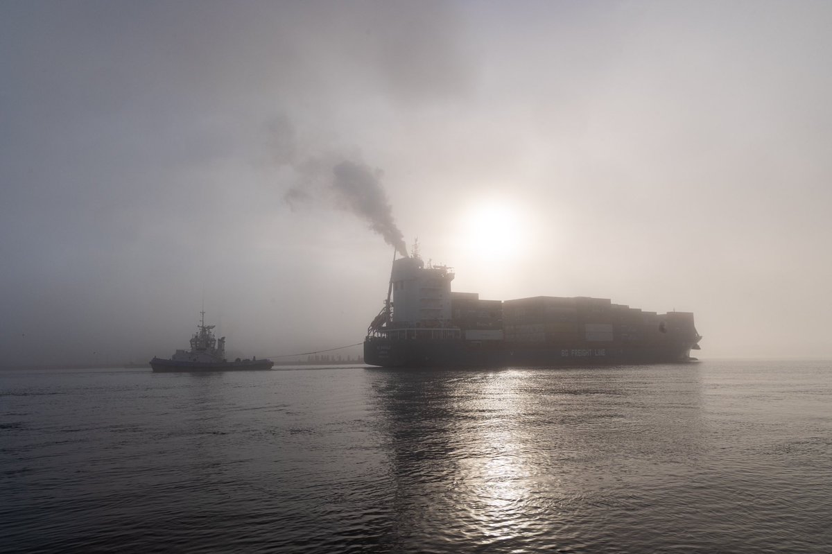 There was a beautiful fog silhouetting the ships this morning. It was almost monochrome