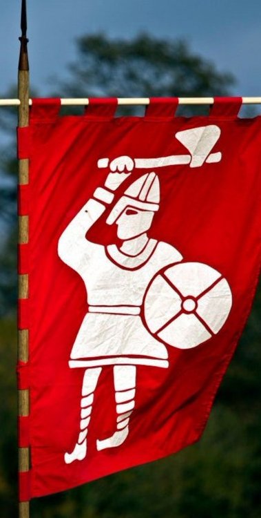 EdwardHobden's tweet photo. 14th October 1066
Early morning
The English army, under its king
Harold Godwinson
Took up a position on Senlac Ridge.
All day they would fight the invaders.
Harold fell as did many of his English brothers.
They died fighting
They died for England
We remember them.
#defendEngland https://t.co/larfBDz8ya