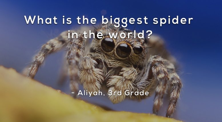 Mrs. Greiner tweet media