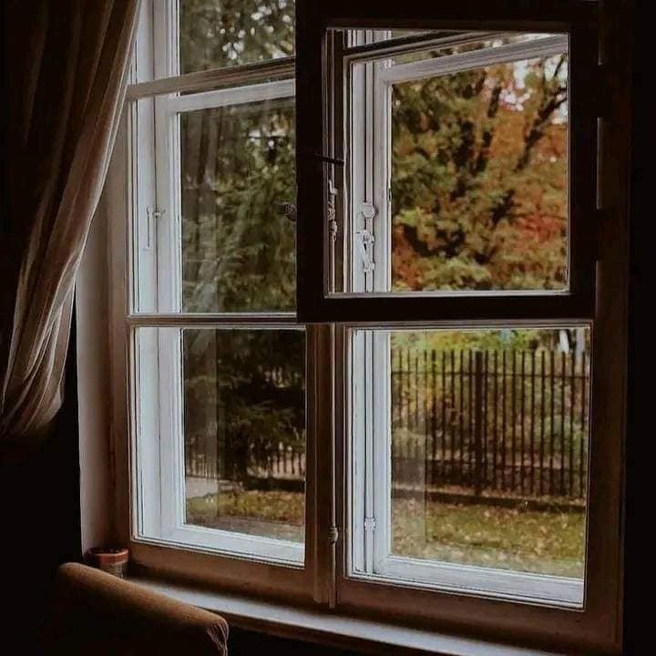 Flora1299's tweet photo. 🍂 https://t.co/TFxoovmQVf