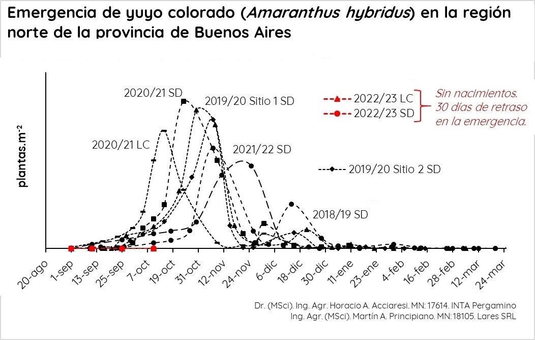 AcciaresiHorac's tweet photo. ‼️De la importancia de sumar años de flujos de emergencia junto a @MartnPrinci 
Ya se dan 30 días de retraso en la emergencia de Yuyo colorado.
Y con los residuales, que hacemos?. Cuántas  cohortes van a nacer?.La semilla despierta, vuelve a dormirse? …Ampliaremos 
👇🏽 https://t.co/hZtJalfqAr