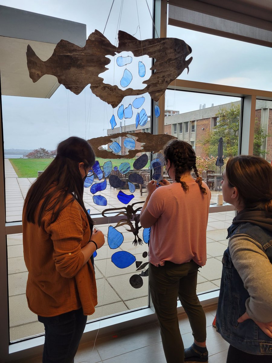 DrKeltonMcMahon's tweet photo. Exciting evolution in "The Transition", a science-art collaboration on our @NSF funded Gulf of Maine #FoodWebs and #ClimateChange research with @URIGSO PhD student @CatrinaNow and @risd MD student Eun Chung.
#SciComm #DataVisualization #ScienceisArt #ArtisScience #Art #Science https://t.co/jN6YhMGmXT