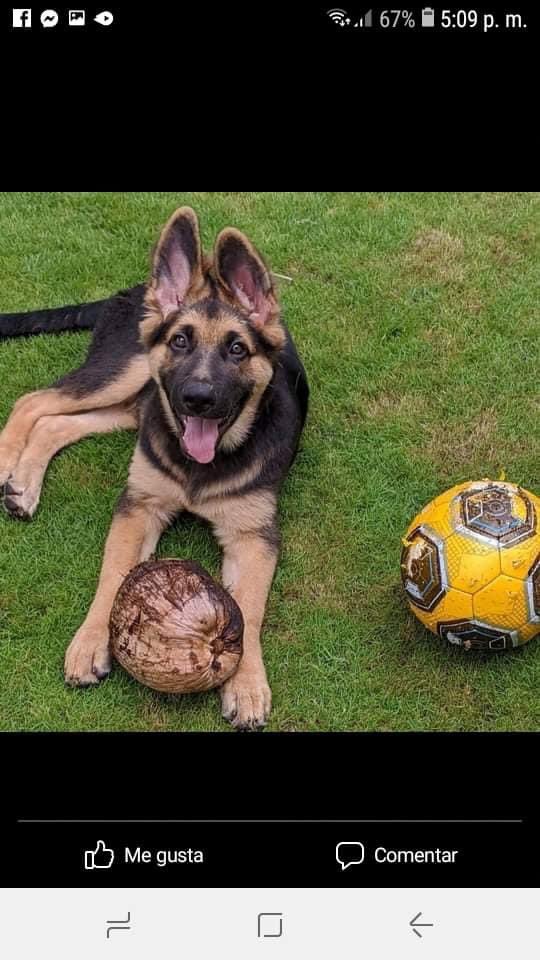 Edward G Zambrana Vega (@zambrana_edward) on Twitter photo 