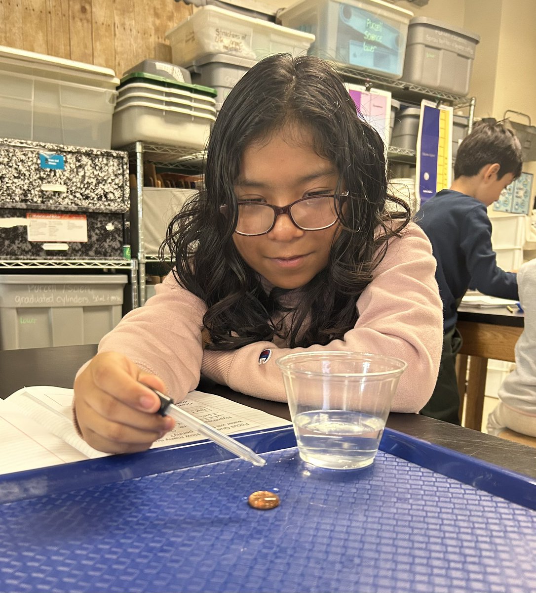 Jeni Vogel tweet media