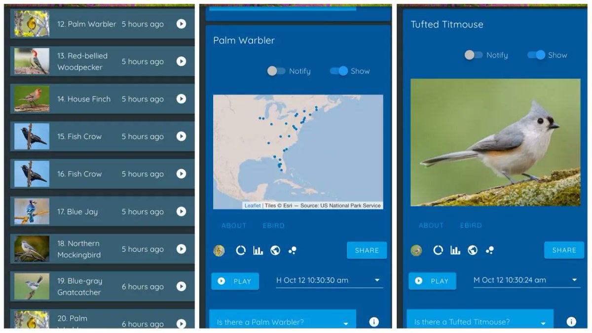 We talked with Ben Montgomery (Axios Tampa Bay) who has new bird friends thanks to his #Haikubox: "A barred owl and common nighthawk visited after dark... Palm warblers and rose-breasted grosbeaks pass through." Read his story: bit.ly/3CWsN2m-Haikub…