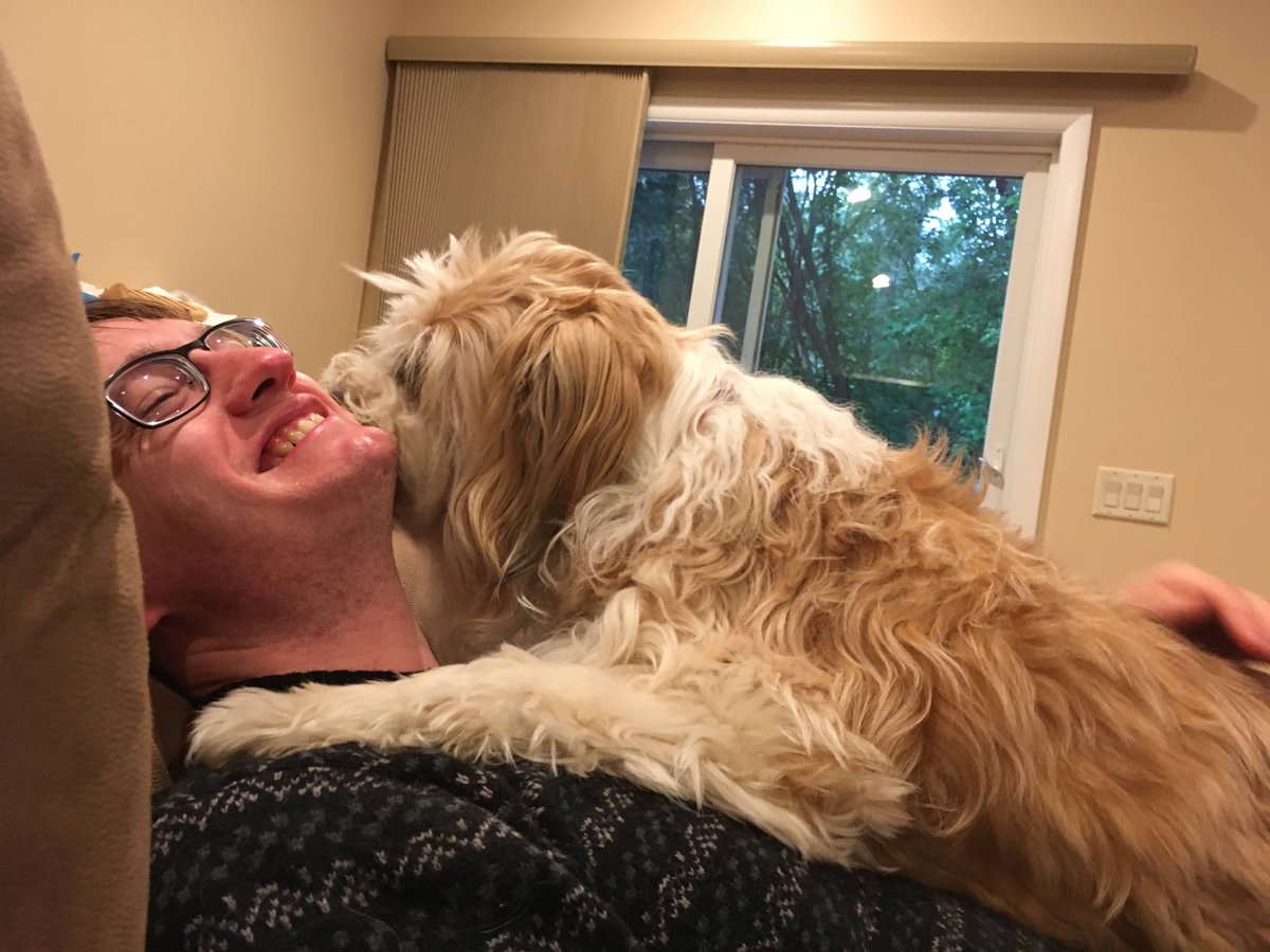 Dan Fitzpatrick tweet media