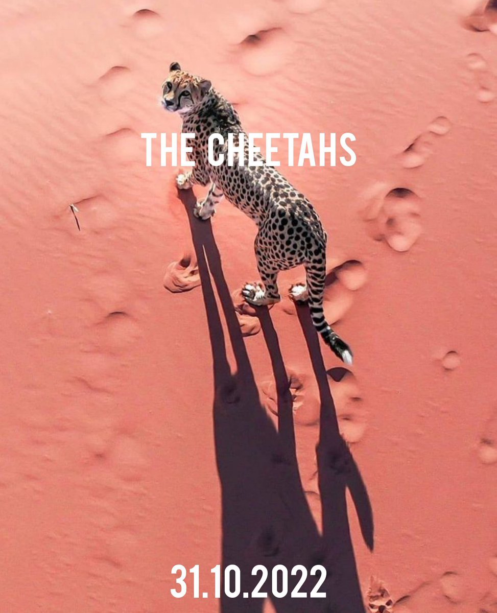 Yagiverse Marketplace (@yagiversemarket) on Twitter photo ๐ธ Yagiverse x The Cheetahs ๐
๐ฅ 3x Whitelists for The Cheetahs
To enter:
1๏ธโฃ Follow <a href="/TheCheetahNFT/">The Cheetahs</a>, <a href="/Yagiverse/">Yagiverse ๐ธ</a>, and <a href="/itsdanto/">Danto โ</a>
2๏ธโฃ Like + RT
3๏ธโฃ Tag 3 Friends
โณ 24hrs ๐ธ Yagiverse x The Cheetahs ๐
๐ฅ 3x Whitelists for The Cheetahs
To enter:
1๏ธโฃ Follow <a href="/TheCheetahNFT/">The Cheetahs</a>, <a href="/Yagiverse/">Yagiverse ๐ธ</a>, and <a href="/itsdanto/">Danto โ</a>
2๏ธโฃ Like + RT
3๏ธโฃ Tag 3 Friends
โณ 24hrs