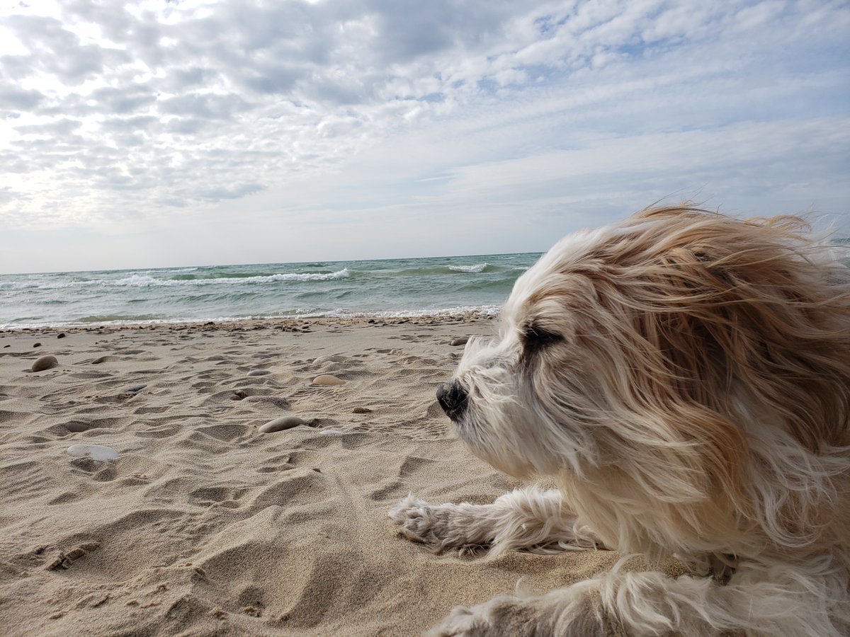 Dan Fitzpatrick tweet media