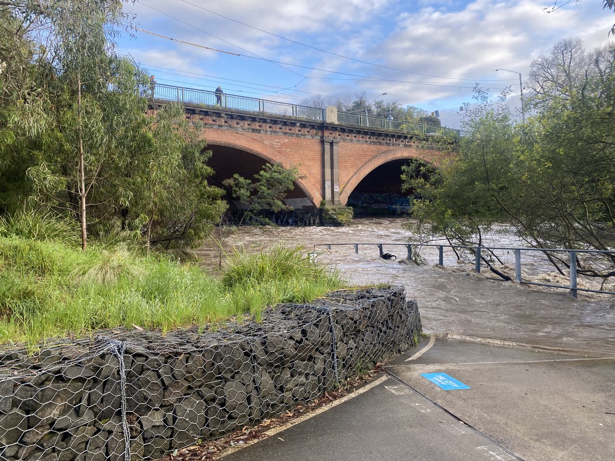 MondayStory's tweet photo. I’ve lived in Clifton Hill for a decade &amp; in Melbourne’s inner north for nearly two decades &amp; I don’t think I’ve ever seen Merri Creek as high as it is this morning. This is at Queens Parade &amp; you can see from the debris line in the 3rd photo that it was even higher overnight. https://t.co/XJ0QyBoE5b