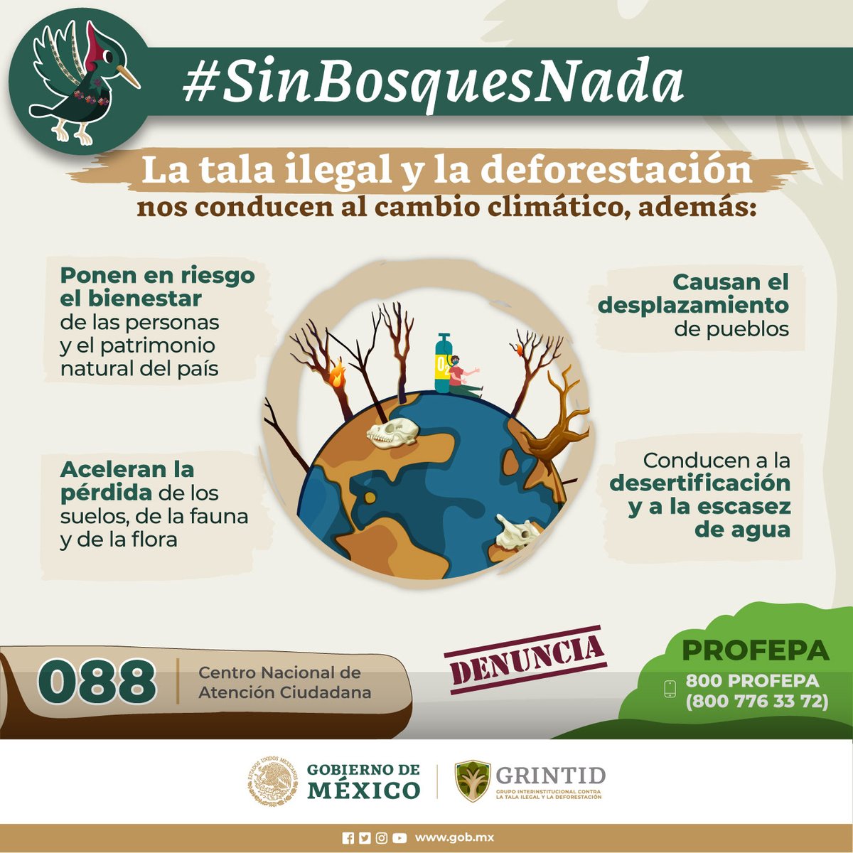 CONAFOR's tweet photo. La tala ilegal trae consigo más problemas de lo que creemos. 

Lee en la infografía algunos de ellos ⬇️
🧑🌾Afectación del bienestar de las personas 
🚐Migración 
🦌Pérdida de biodiversidad, suelo y agua

#SinBosquesNada 
#PorLosBosques 
#ConcienciaAmbiental
#GRINTID https://t.co/SvbsAF74Qe