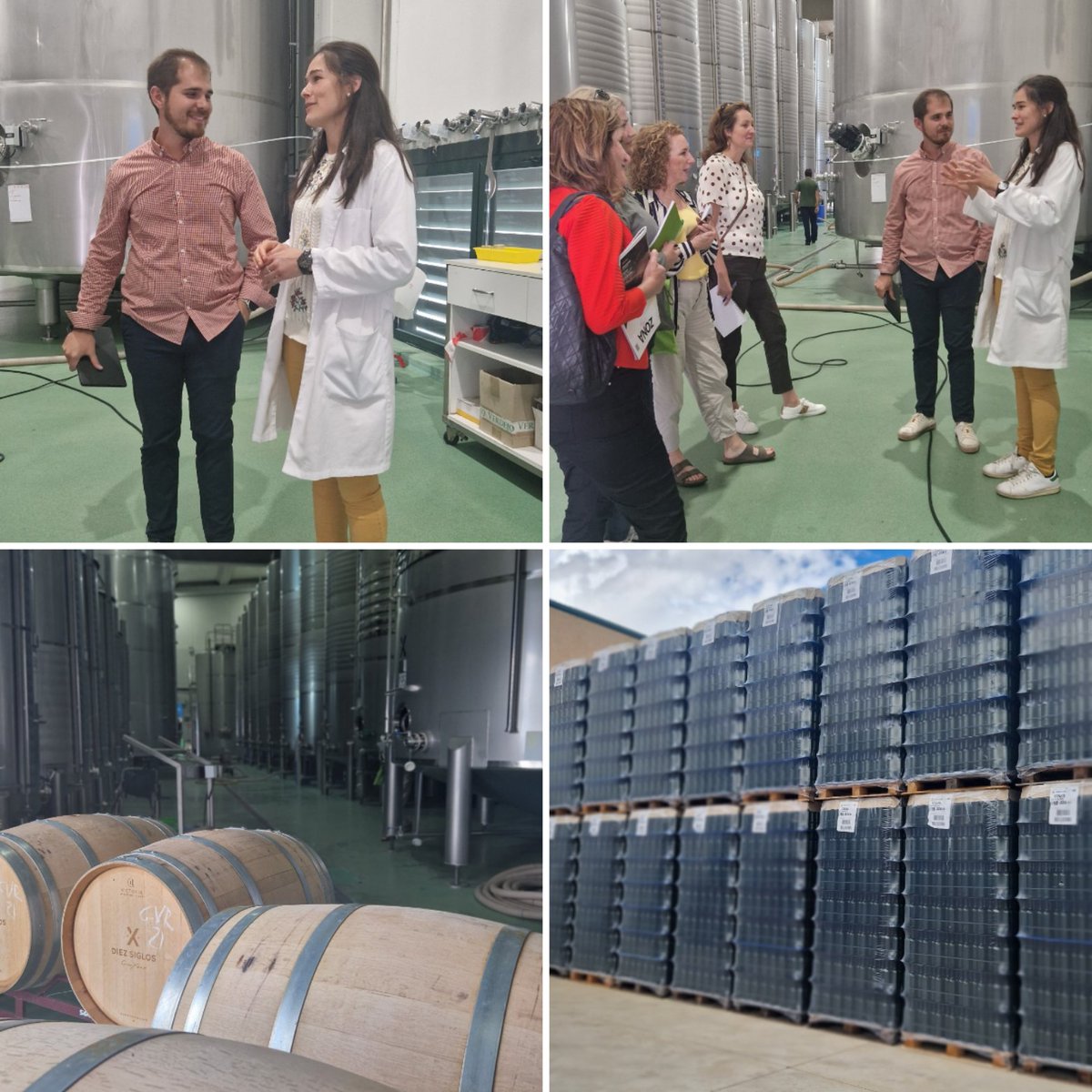 thewinestory's tweet photo. Our latest podcast episode is about out recent #presstrip to @DORueda its a chunky espidoe where we discuss the styles of wines the diversity of Verdejo grape and share stories of our adventures
#sponsoredepisode 
Check it out 👇
https://t.co/yw4234P3n9 https://t.co/vxv1Fzm7hm