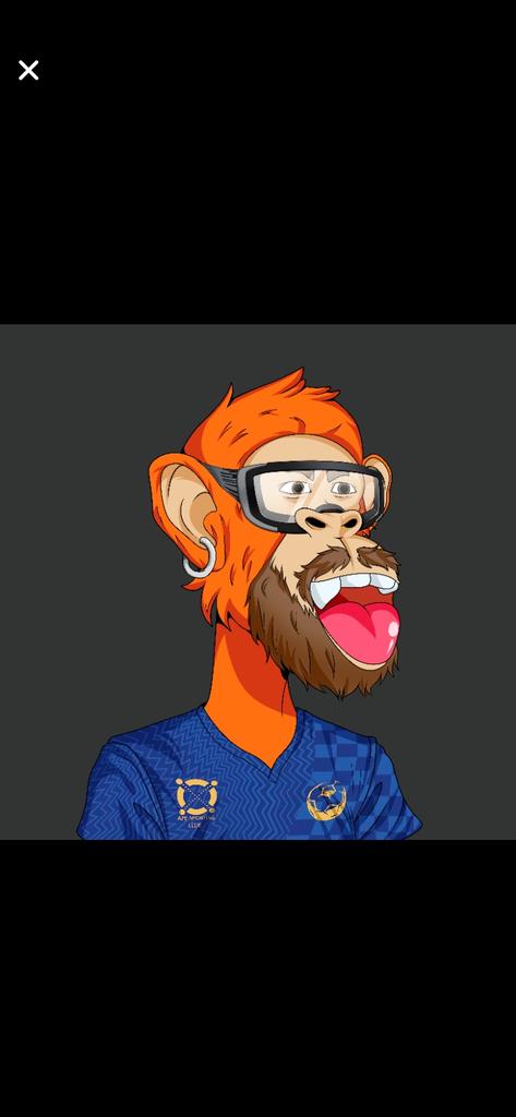 hereforMMcrypto's tweet photo. @Creker94_Elrond @Tired__Club Just mint 2 more .. 🔥🔥 https://t.co/cOZCcQY2Fm