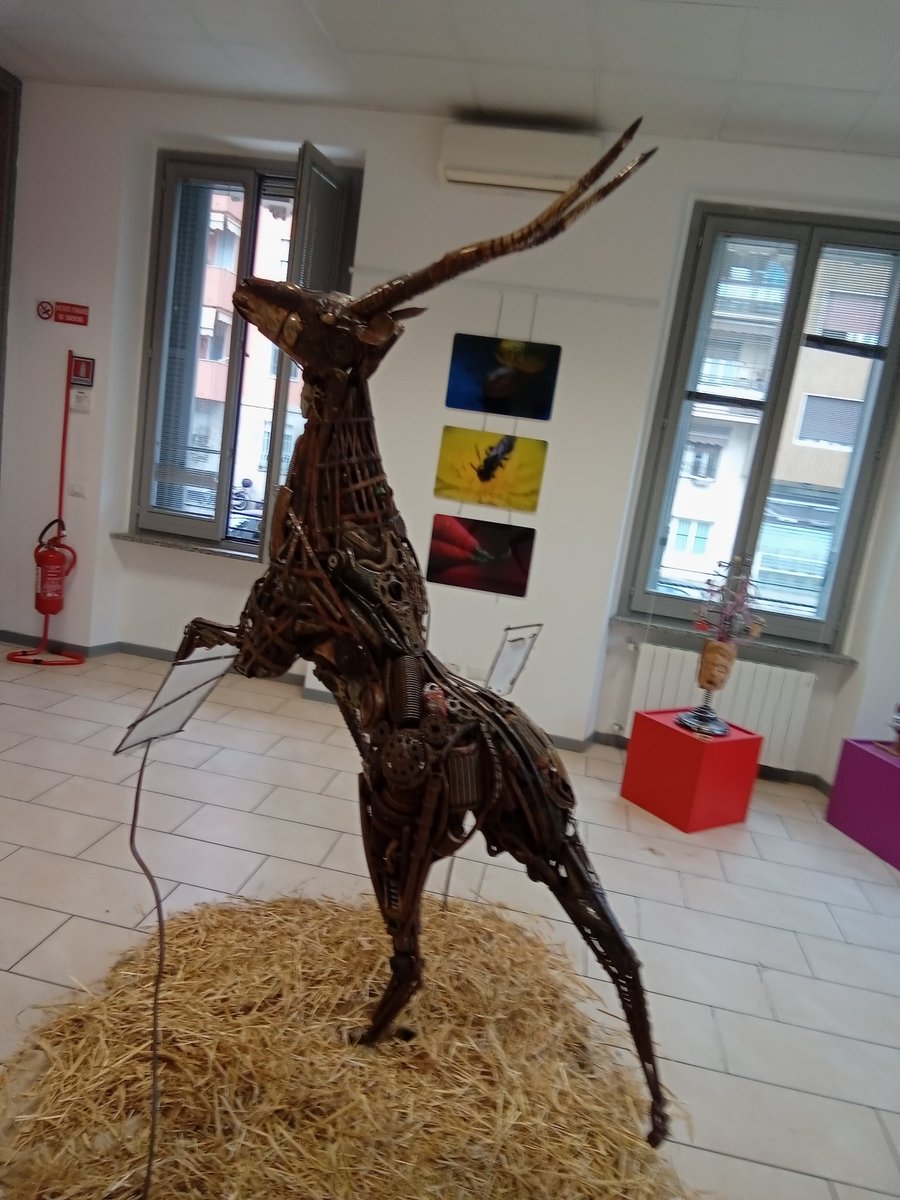 MantelliArt's tweet photo. NESSUN DORMA Event - Milano, Via Savona 99, P.zza Berlinguer by @MantelliArt
Metaborg "Impala"
#art #sculptures #linkedinart #instagramart #GoogleArt #artwork #artcollectors https://t.co/Okd9Y86VLu