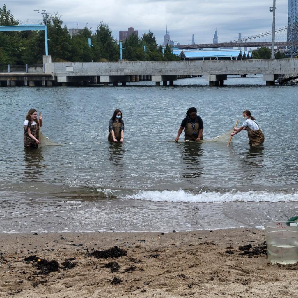 fgpabk's tweet photo. We build scientists at #fortgreeneprep! Grade 8 students @bklynbrdgpark for #environmentaleducators #dayinthelifeoftheHudonandHarbor Our students took water and soil samples, identified fish, and classified rocks! @CEC13Brooklyn @RDavson #fgpa #fgpawolfpack #stem https://t.co/LGWraN5K6c