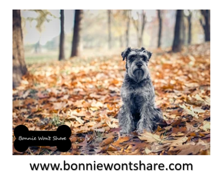 won_share's tweet photo. https://t.co/0WX07nQuum

#dogsofinstagram #bonniewontshare #dogsoffacebook #doglovers #tasty #dogsoffacebookofinstagram #Puppies #dogsoflinkedin #dogs https://t.co/4jGpXbI8Az
