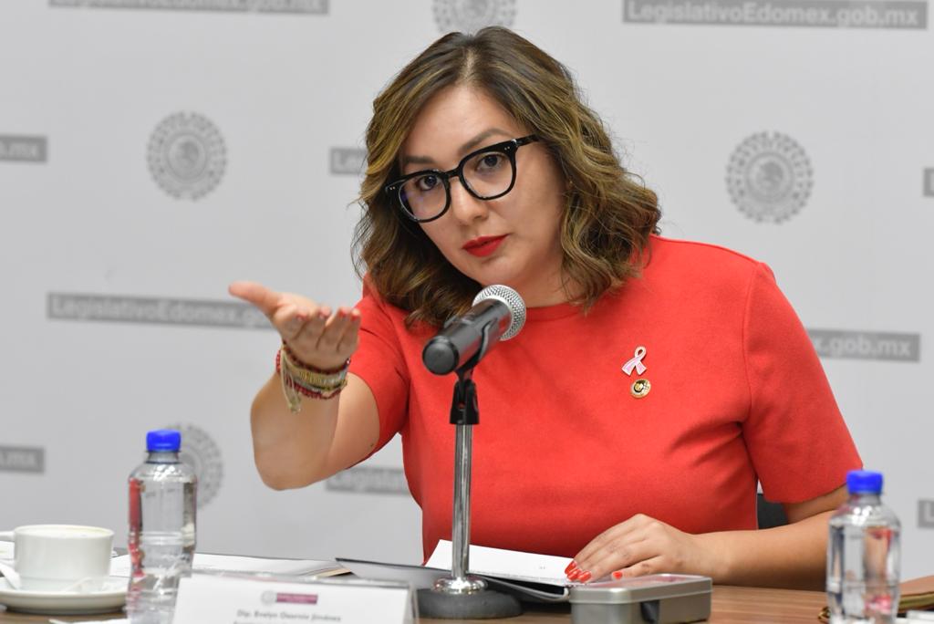 CongresoEdomex's tweet photo. La dip. @evelyn_osornio_ presenta a Ricardo Antonio Millán Maya como secretario técnico de la Comisión de Vigilancia del @OSFEM_oficial. https://t.co/XKXwMGFo8y