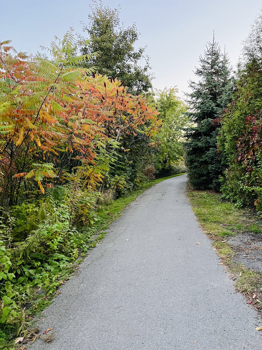 ebrahim_sadaf's tweet photo. Today, I door knocked at Half Moon Bay Area. We have beautiful walking trails in Barrhaven. However, we need more green space and trails. #ward3 #Barrhavenwest #Ottcity #Nepea @StonebridgeCA #VoteSadaf https://t.co/2QvKEP8rd9