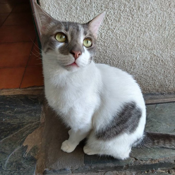 Que hombre! https://t.co/uLJzPcW4ox