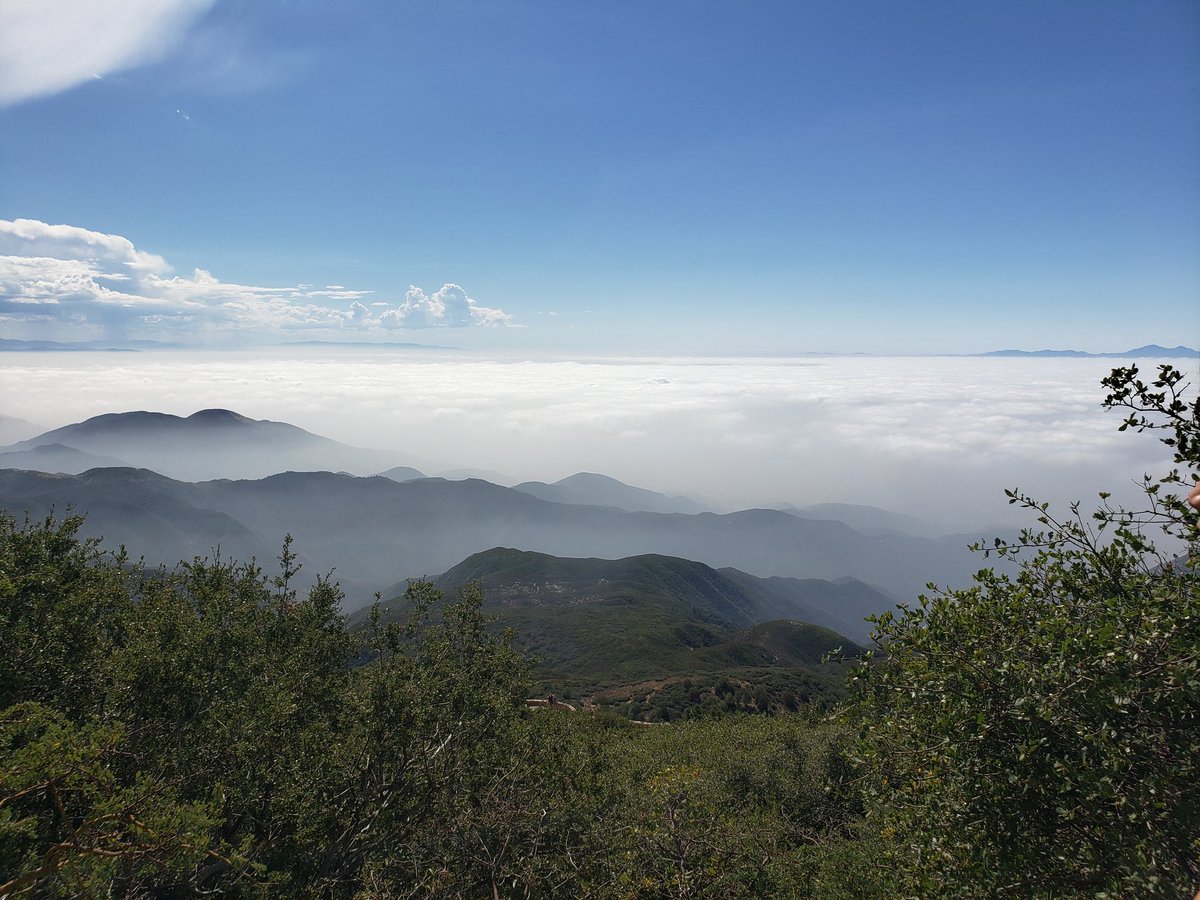 MsMimura's tweet photo. 😇💙🏕 🏞 Lookout hike this morning before the drizzle! #FAOSS @FirstAveMS @ArcadiaUnified @FirstAvePTSA https://t.co/fUCZ7LYsXa