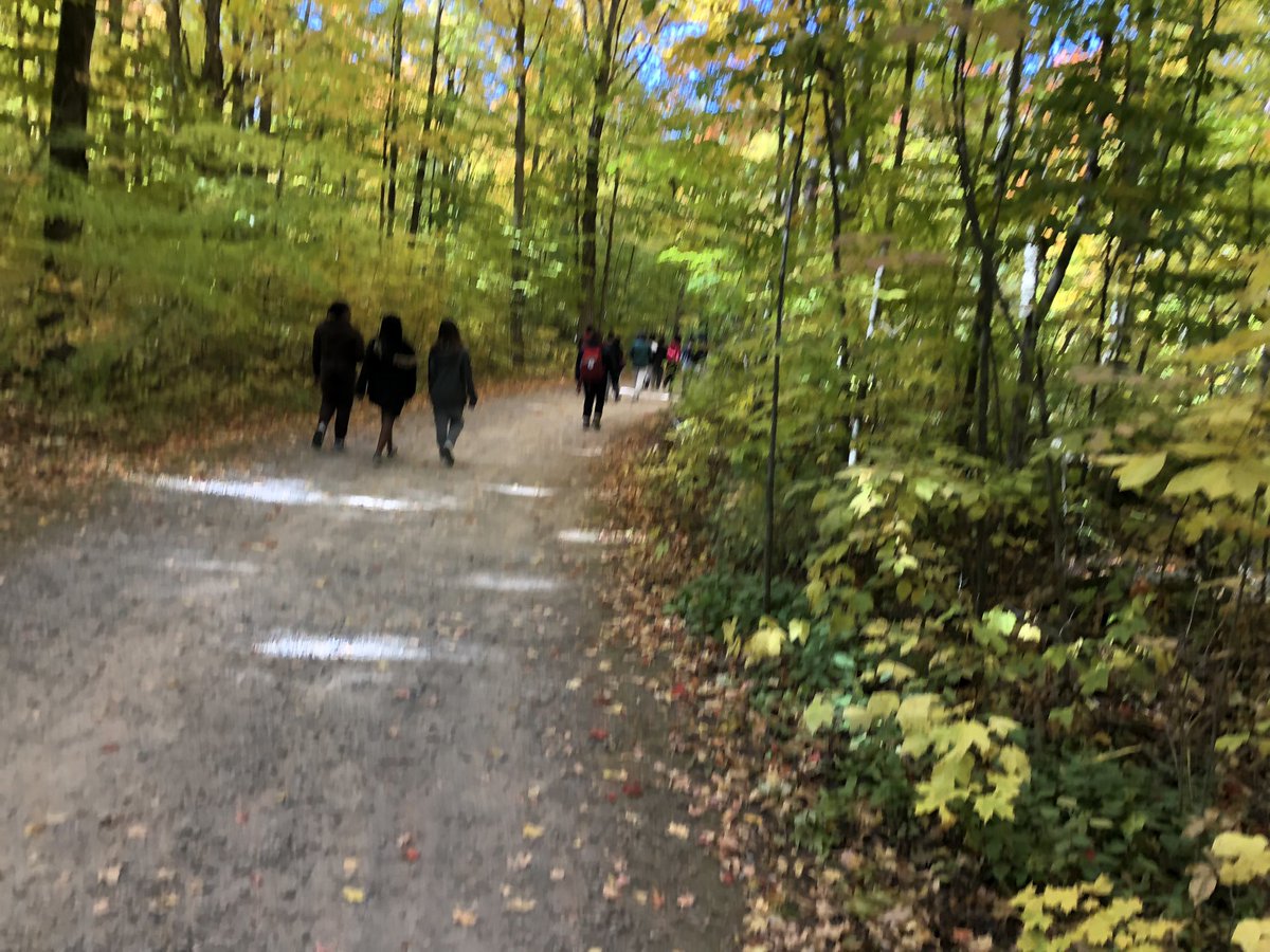 Mr. DaCosta tweet media