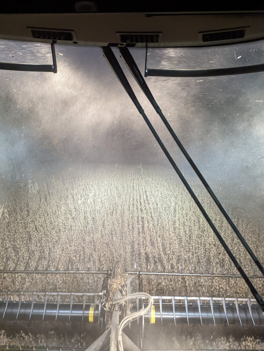 fischer_theo's tweet photo. Nothing to see but  dust on final night of #Bean22 https://t.co/uDJyQ7A0Fq