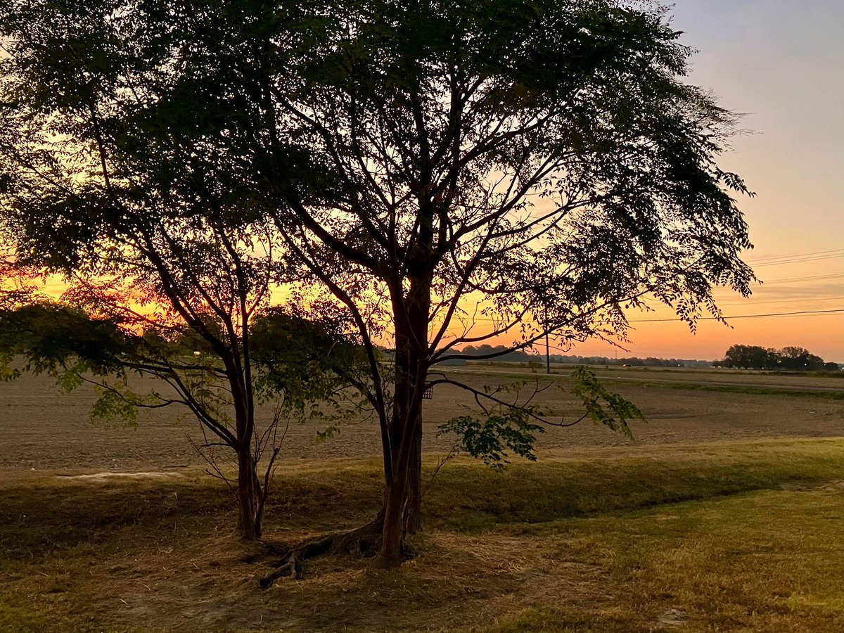 AshleyReneeWx's tweet photo. Sunrise over #ClevelandMS this morning 😍 #viewerphotos #mswx #mississippidelta #BolivarCounty https://t.co/up4Fc7qsg4