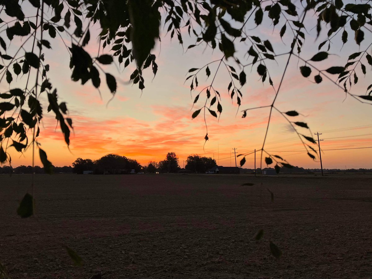 AshleyReneeWx's tweet photo. Sunrise over #ClevelandMS this morning 😍 #viewerphotos #mswx #mississippidelta #BolivarCounty https://t.co/up4Fc7qsg4