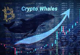 AngeiHerca's tweet photo. #CriptoGlosario
🔴Ballena (whale)
Es el término usado para referirse a los individuos o entidades que poseen una gran cantidad de cierta #criptomoneda

@marbeclinares @JoselitRamirez @sunacrip_ve

#11Oct #FelizMartesATodos #LasTejeríasRenacerá https://t.co/pk23b6B2Iu
