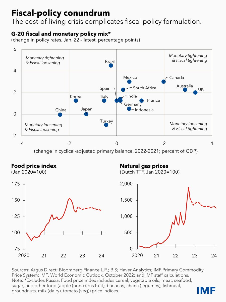 pogourinchas's tweet photo. Formulating an appropriate fiscal response to the current cost-of-living crisis has become a serious challenge. My #IMFBlog details a few key principles for policymakers to consider. https://t.co/XLIrfWsbLm (5/5) https://t.co/gBmARBivDI