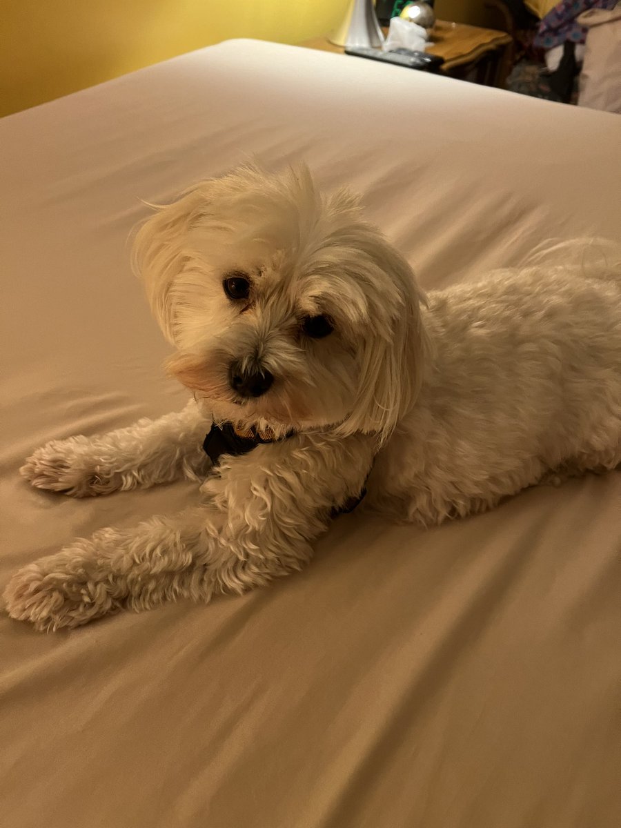 Mez helpin Mama make de big bed #ZSHQ