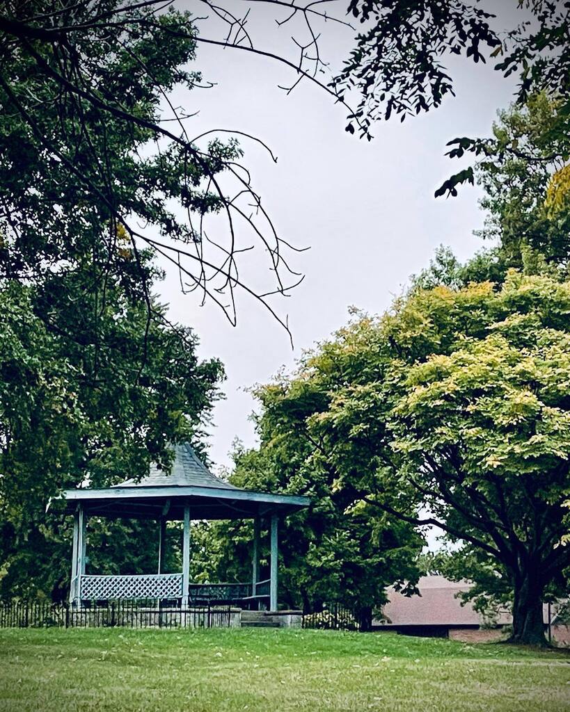 shannon weber tweet media