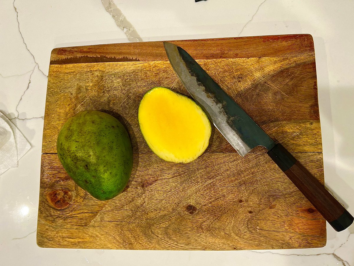 Ryan Scott (Horse) tweet media