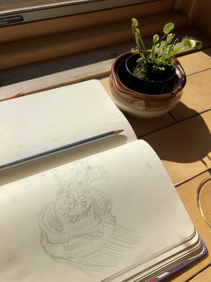 g0thh0bbit's tweet image. #portfolioday? #sketchbook