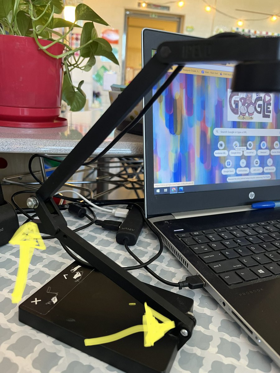 Carrie Mitchner tweet media