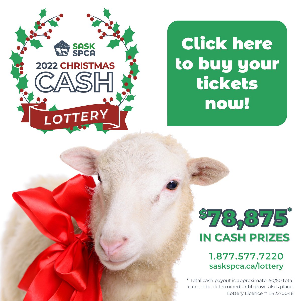 SaskSPCA's tweet photo. Tickets for the 2022 edition of the SaskSPCA Christmas Cash Lottery are on sale now! Don’t miss your chance to win some awesome cash prizes.

New in 2022: Pay by e-transfer! Learn more: https://t.co/EjyucyQNjF

#SaskSPCA https://t.co/QUTkePfmrh