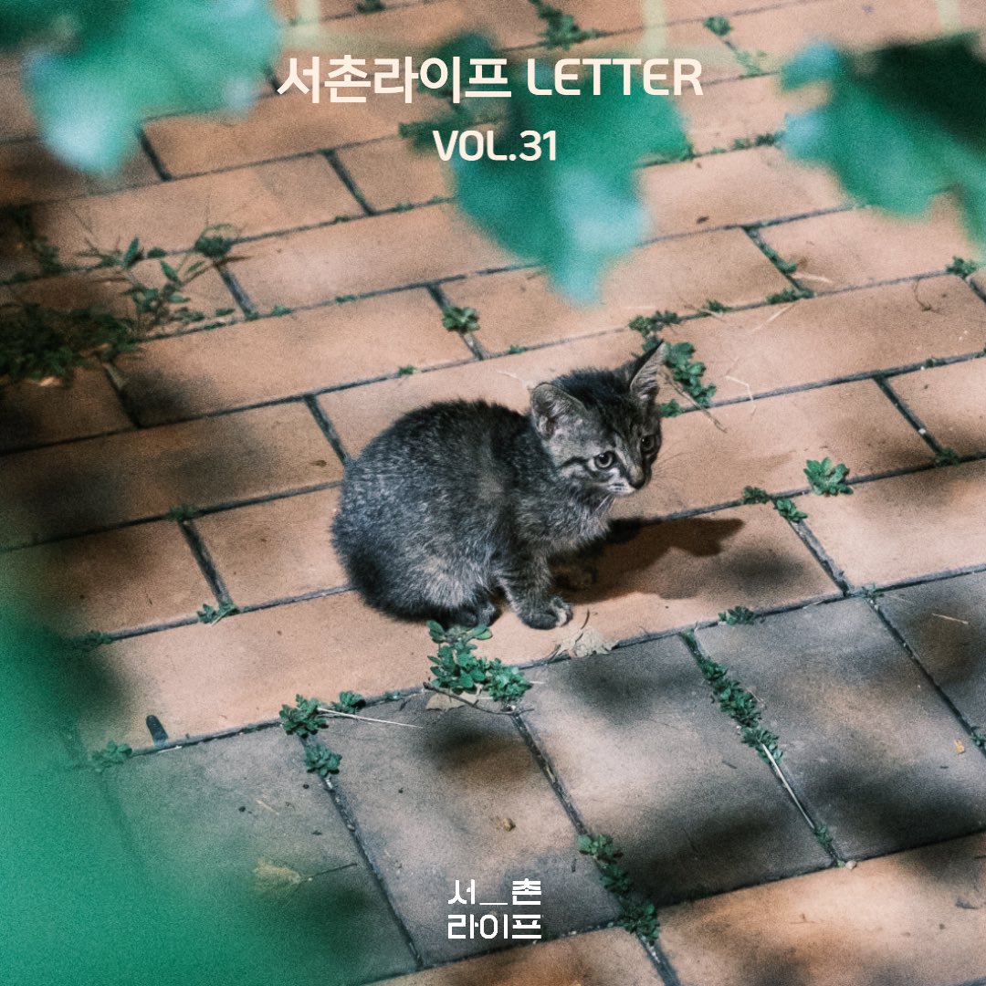 🕊서촌라이프 레터 VOL.31

🔎 레터 미리 둘러보기

- 서촌라이프 뉴스 
서촌의 특별한 이야기_나그네를 위한 공간, 보안여관
- 서촌가게 소식
- POP 서촌
중간지점 둘_<한국화와 동양화와>
- 서촌 beat
- 10월 서촌 가게 생일
- 남의집 동네방네 서촌편

stib.ee/vIF6