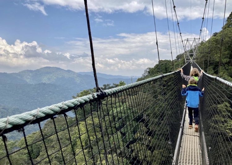 Uwingabire_C's tweet photo. Are you planning to visit Rwanda with your kids?

We have good activities which are suitable for younger kids include flower and birding tours or visits to local villages, where your children can learn traditional beading,
 Paramount for families is having a professional guide https://t.co/3avUXdQddy