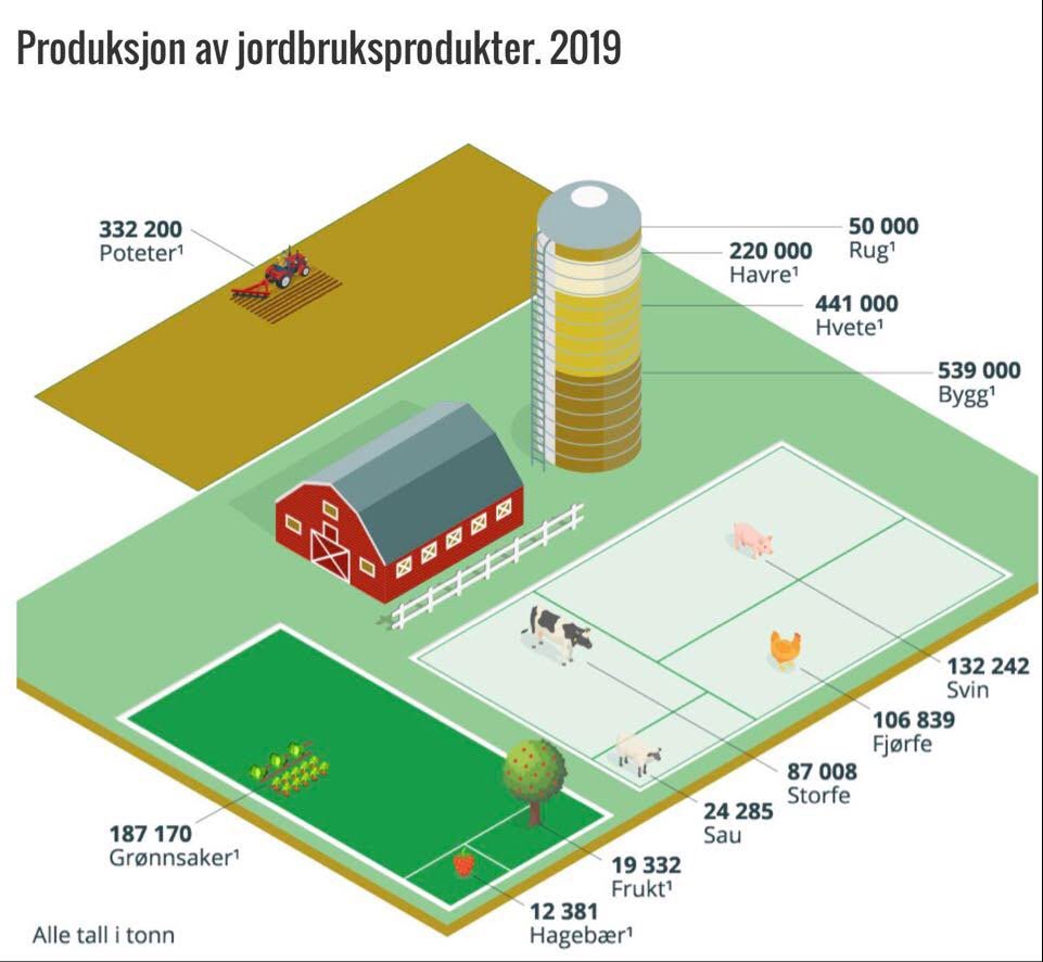 Sandra Borch beviste i #Debatten at mat kun er kjøtt. Hva syns de som dyrker og odler jorda, om mat- og landbruksministerens diskriminering? De som produserer mesteparten av maten…