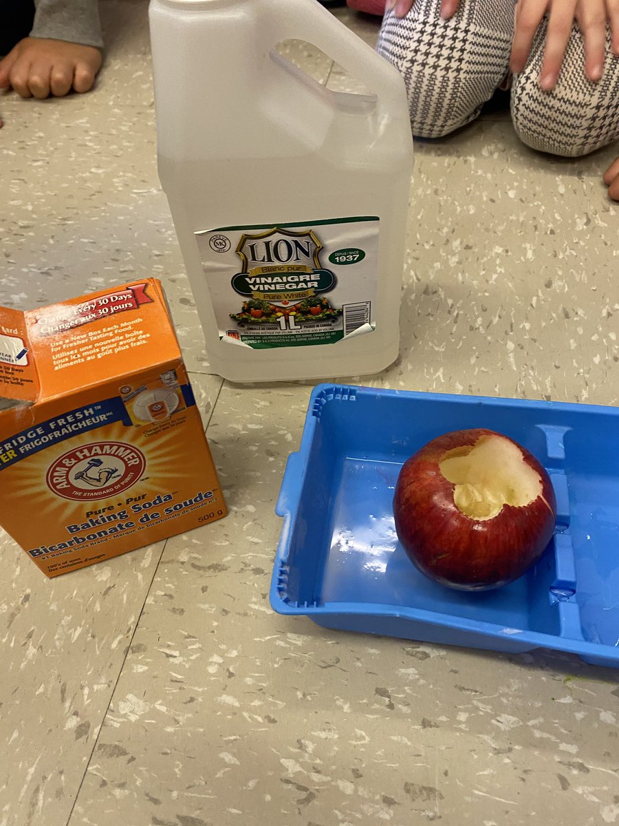 Madame_Kennedy's tweet image. We had so much fun learning all out apples today! We used our five senses to describe them, did an experiment to see what could prevent them from browning and we even made an apple volcano! 🍎🧑‍🔬👩‍🔬🌋 @MDEschool @NLESDCA @nltatesic #applescience #lespommes #Kindergarten