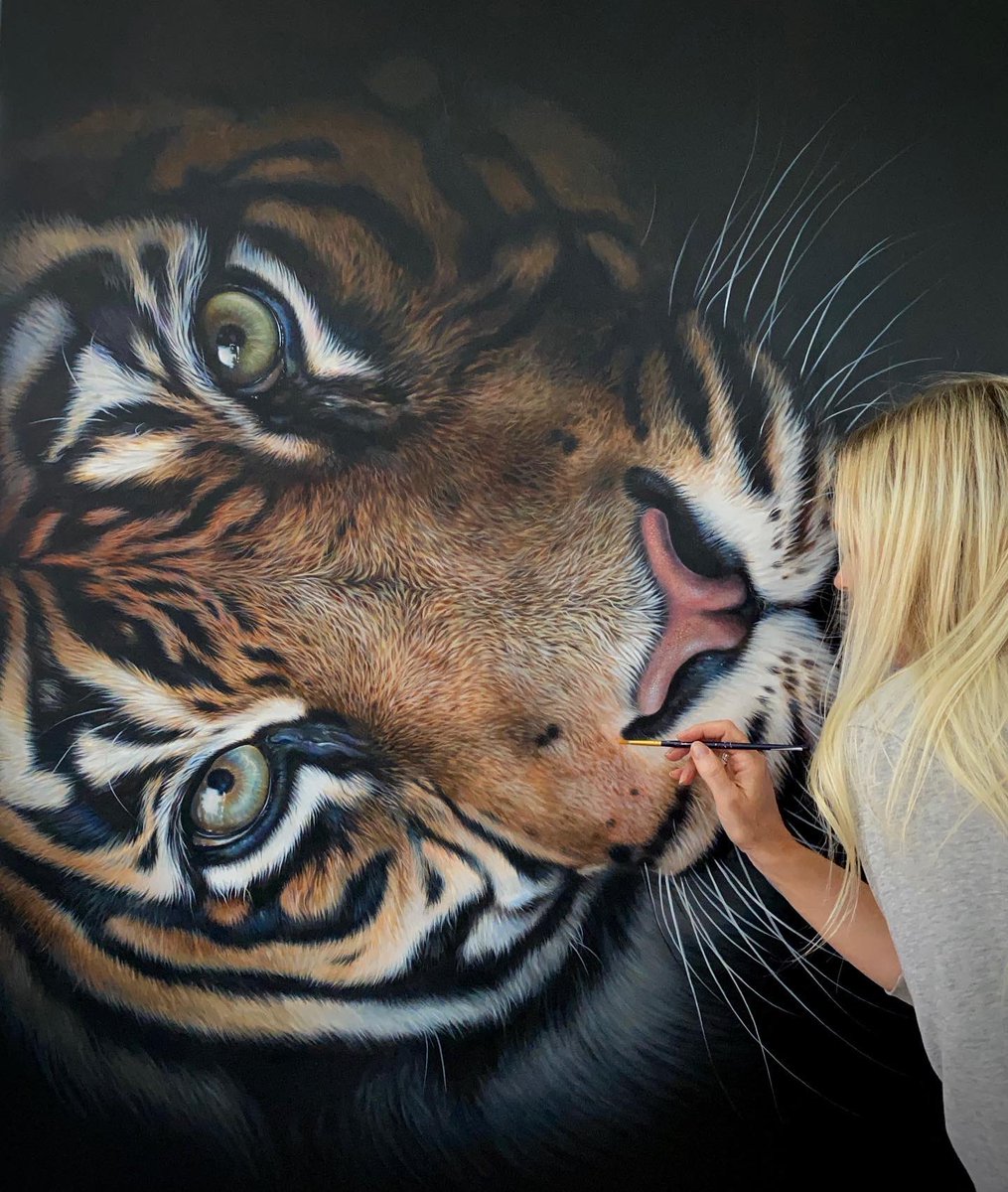 One of my big tiger commissions. I turned it on its side to paint the ‘hard to reach areas’…sometimes the easel won’t go high enough 😂 

julierhodes.com

#tigerart #tigerpainting #wildlifeartist #realism #arte #artistic #artstyle #paintings #endangeredspecies #bigcatart