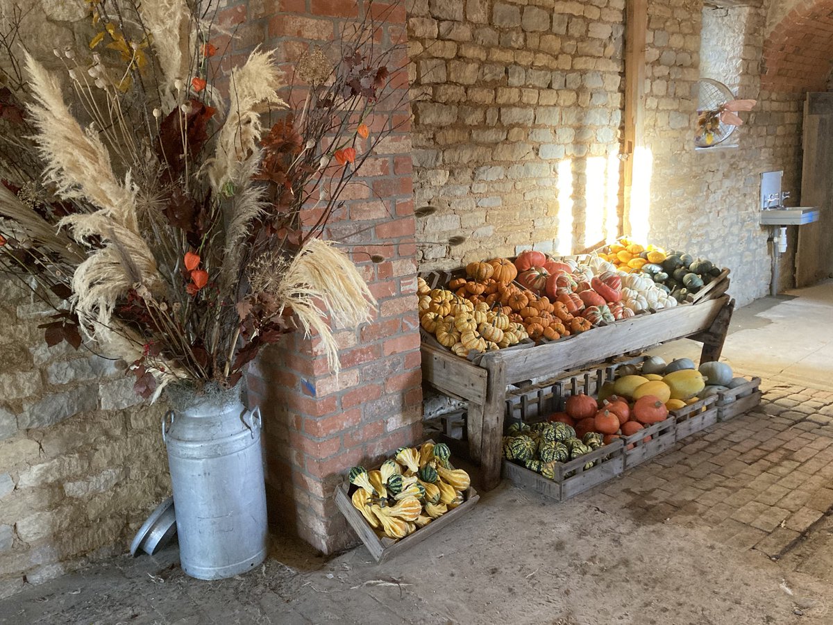 Coleby PYO Pumpkins tweet media